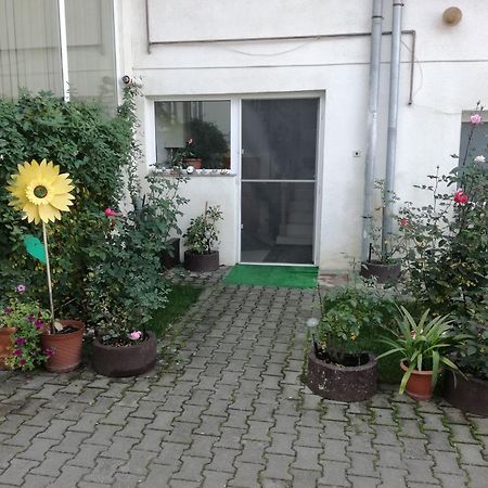 Vila Nely Rîşnov Екстериор снимка