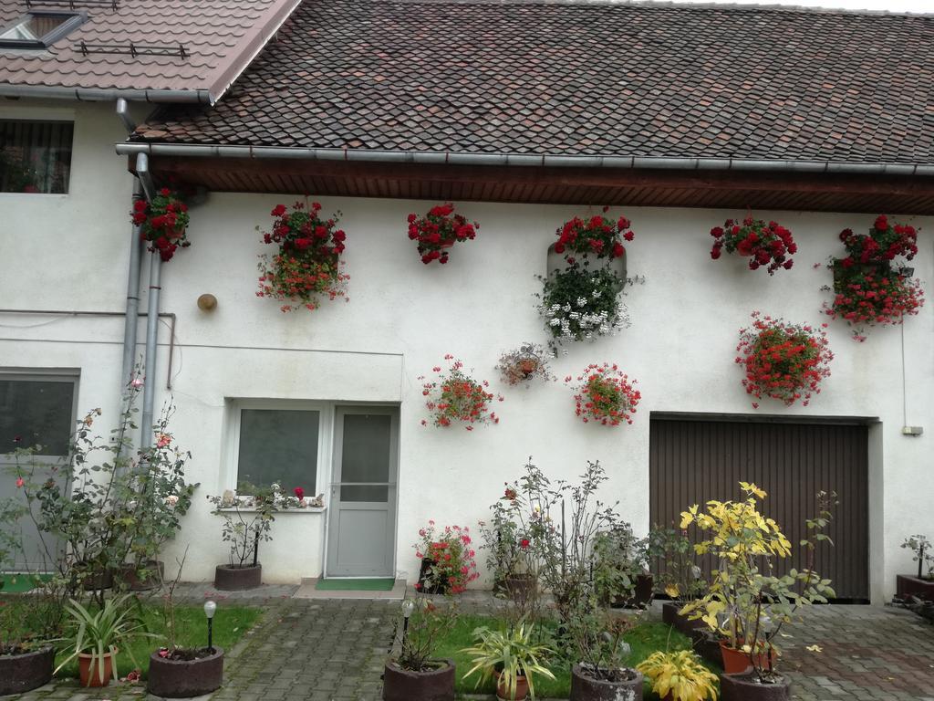 Vila Nely Rîşnov Екстериор снимка