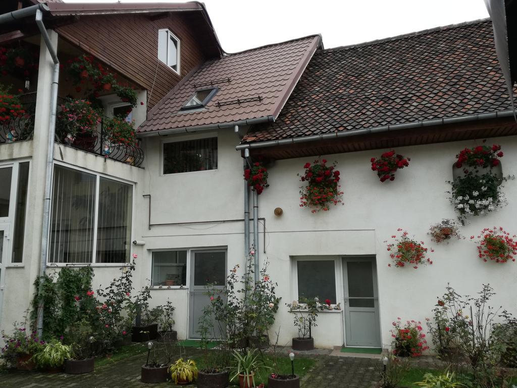 Vila Nely Rîşnov Екстериор снимка