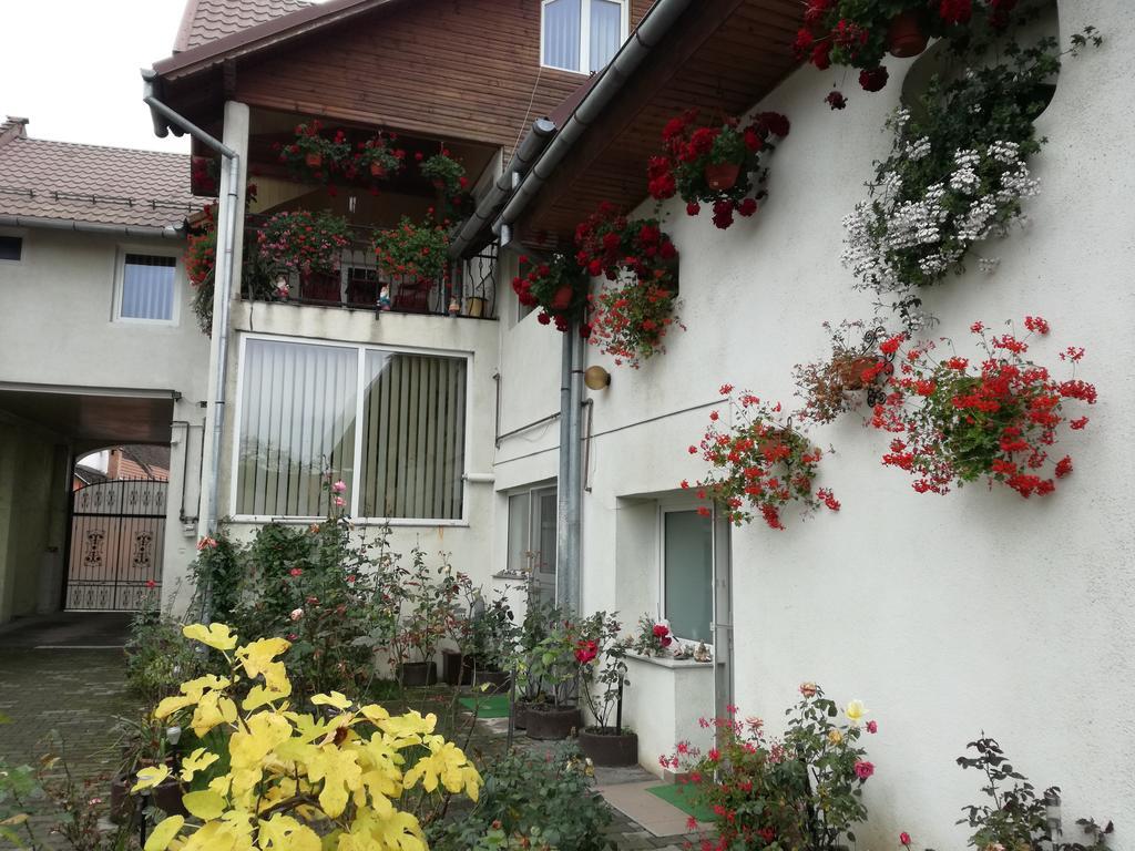 Vila Nely Rîşnov Екстериор снимка