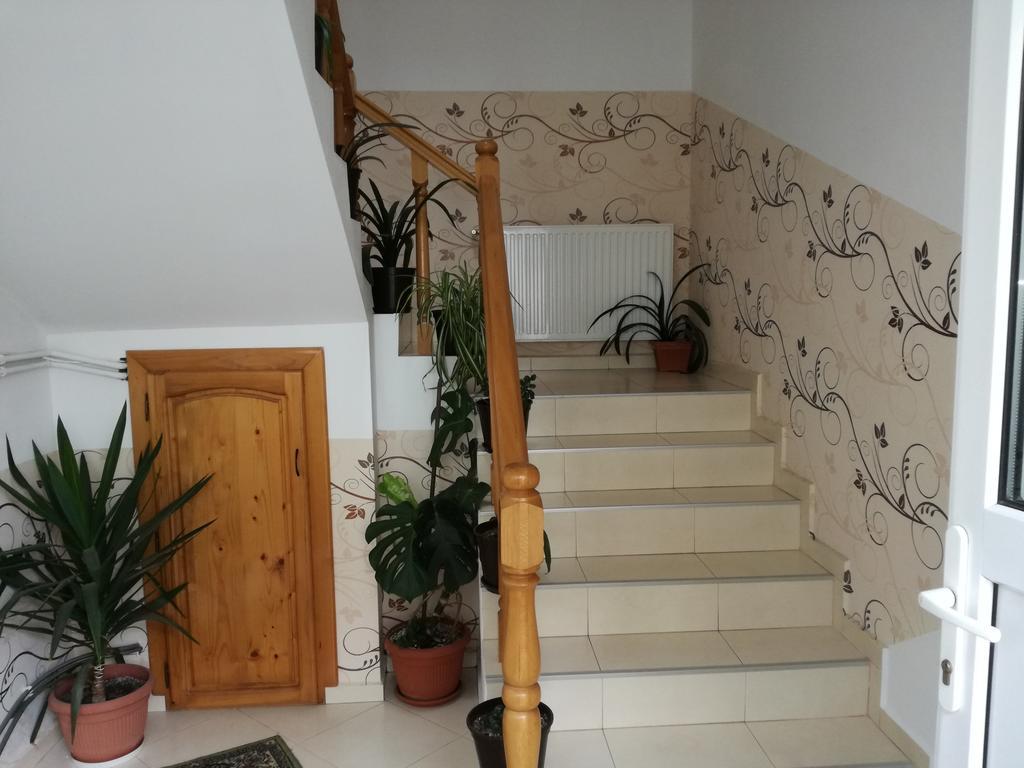 Vila Nely Rîşnov Екстериор снимка
