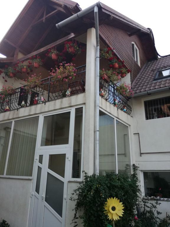 Vila Nely Rîşnov Екстериор снимка